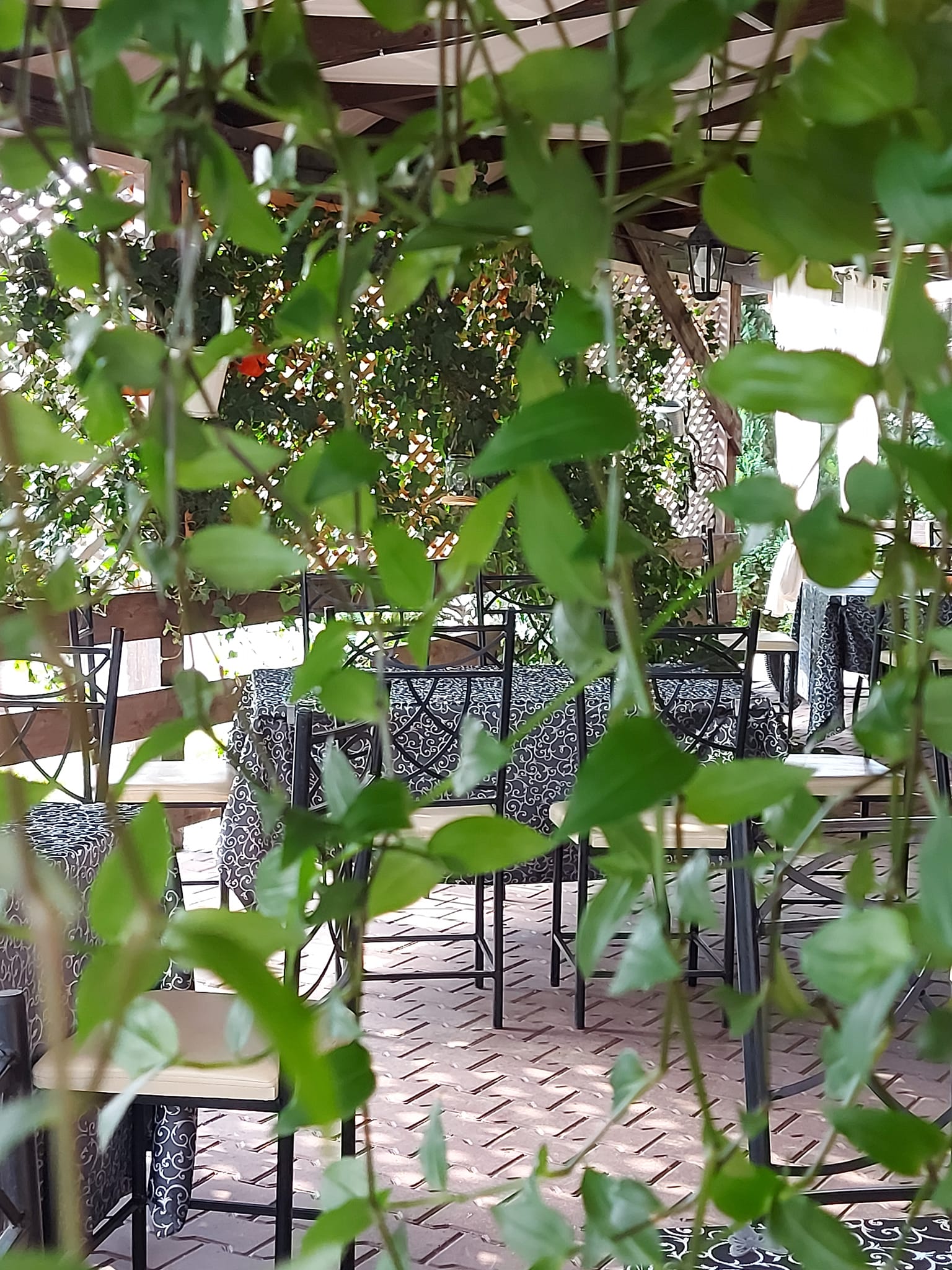 Casa Moldoveana, Piatra Neamt — foto 12