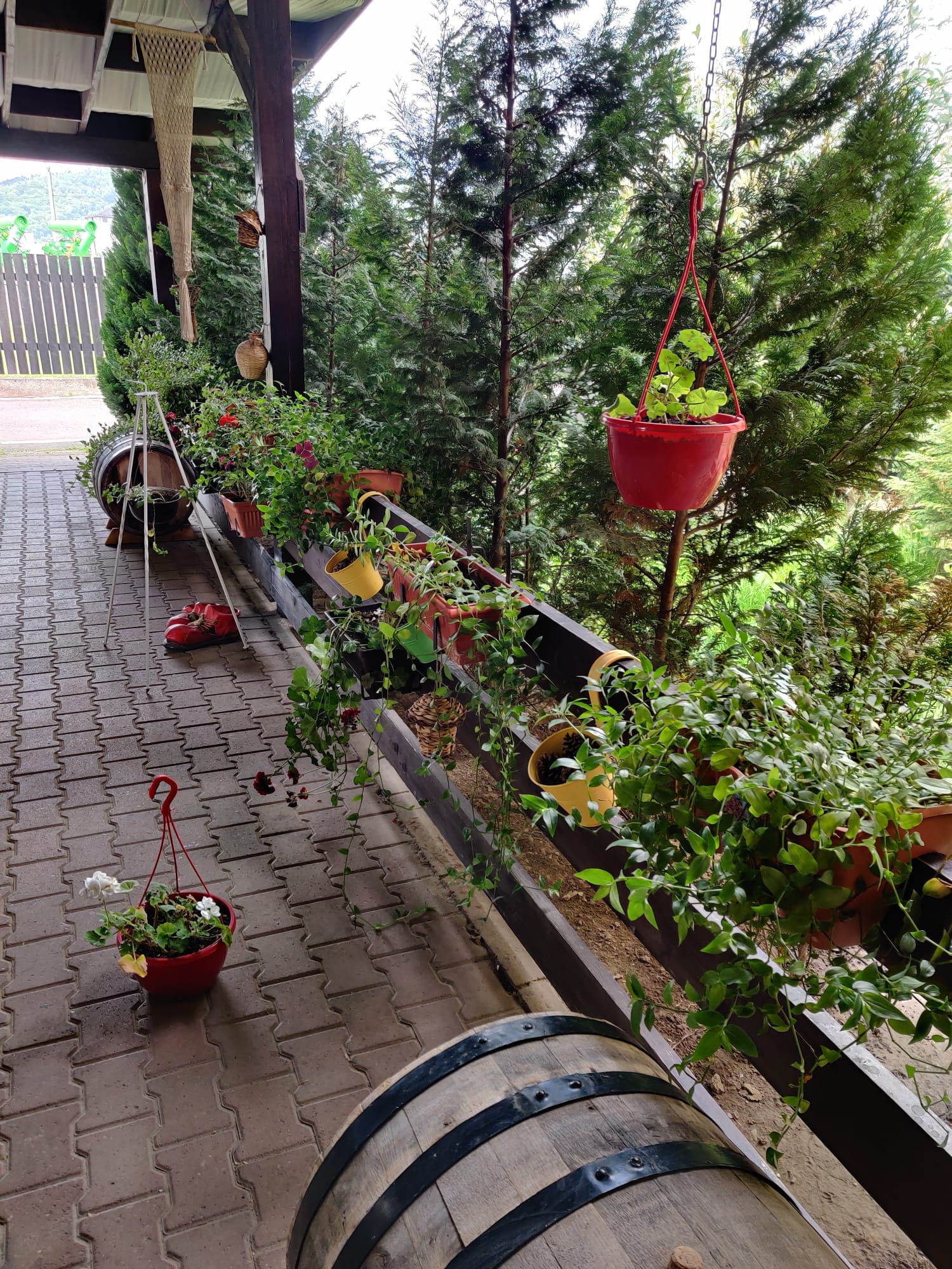 Casa Moldoveana, Piatra Neamt — foto 14