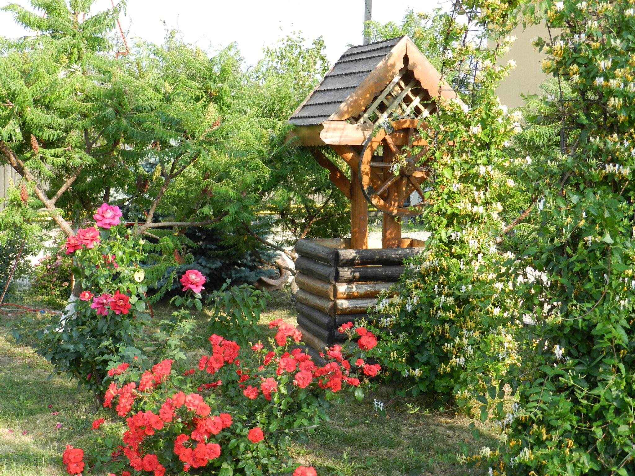 Casa Moldoveana, Piatra Neamt — foto 15