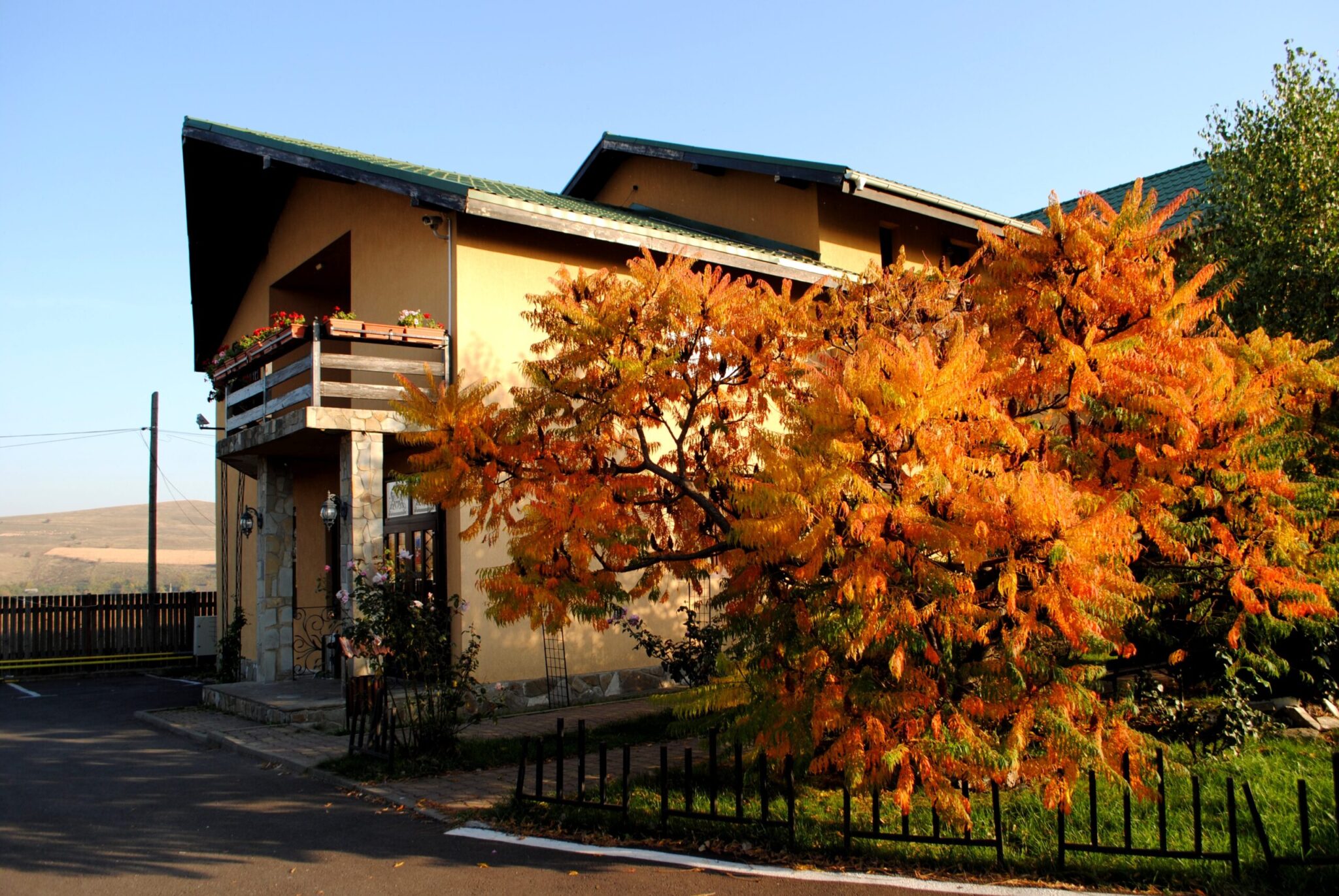 Casa Moldoveana, Piatra Neamt — foto 21