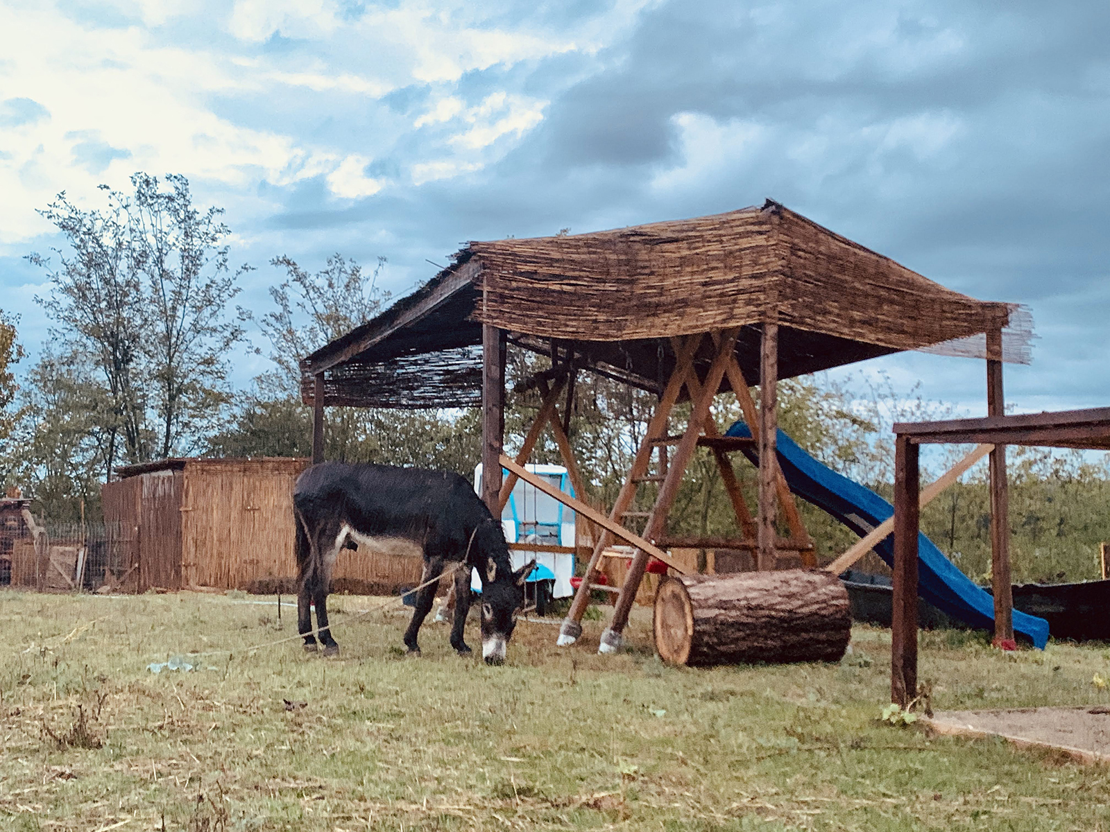 Pensiunea 4 Salcii, Baltenii de Sus — foto 10