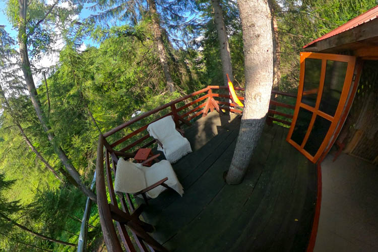 Pensiunea Gura Arsitei — foto 9