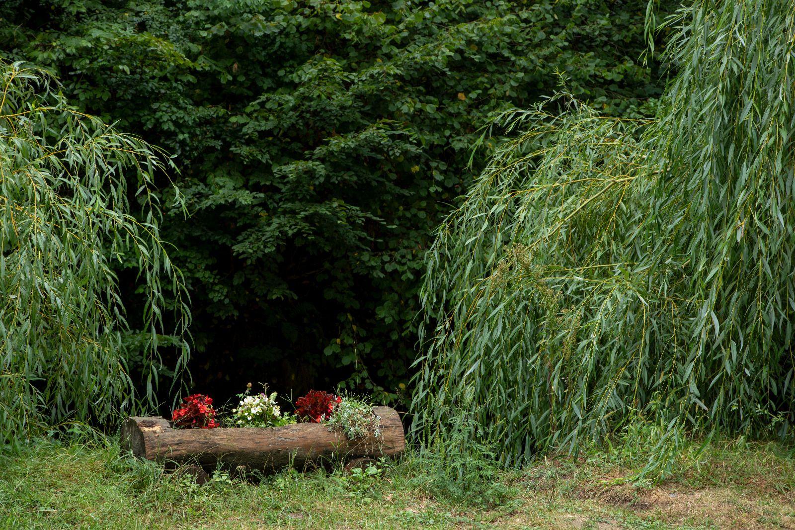 Camping & Cabana Sargetia, Costesti — foto 34