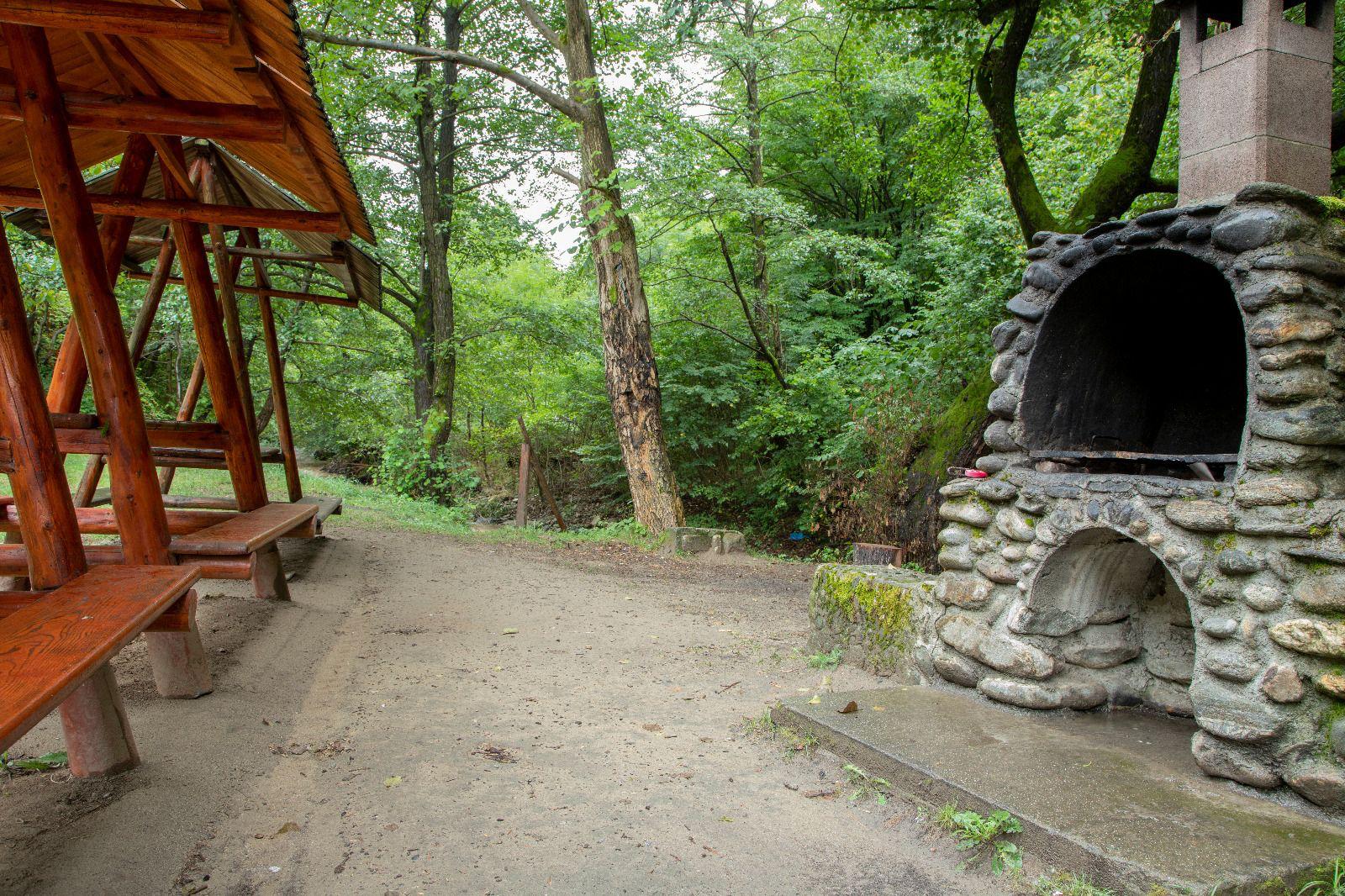 Camping & Cabana Sargetia, Costesti — foto 41