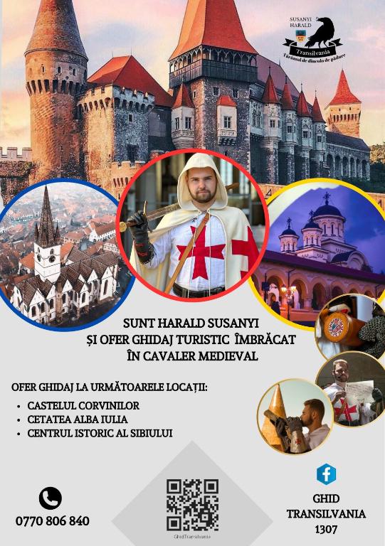 Hanul Huniazilor HD, Hunedoara — foto 60