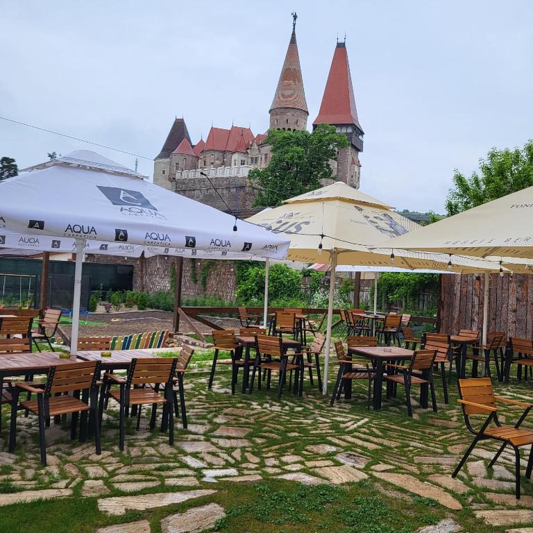 Hanul Huniazilor HD, Hunedoara — foto 67
