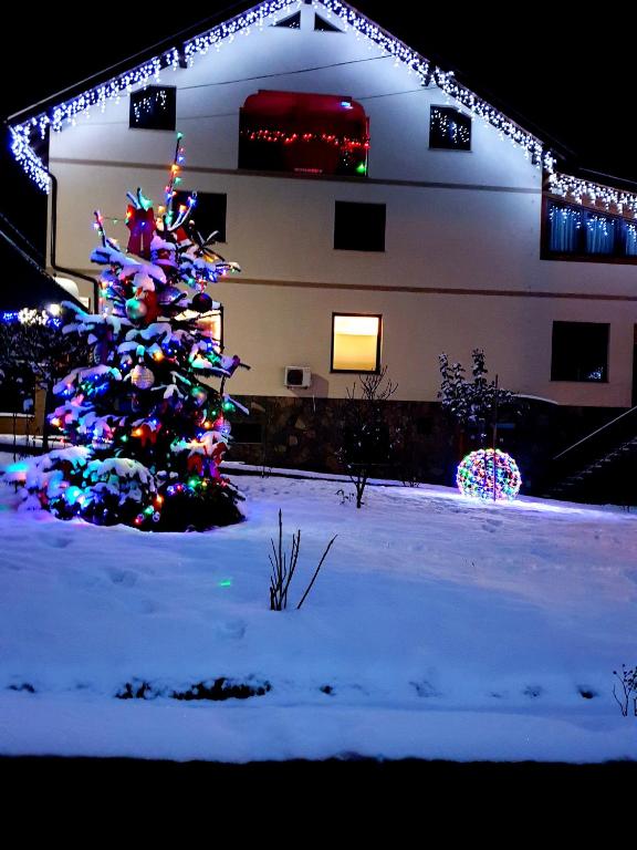 Pensiunea Eco-Tim, Moisei, Maramures — foto 30