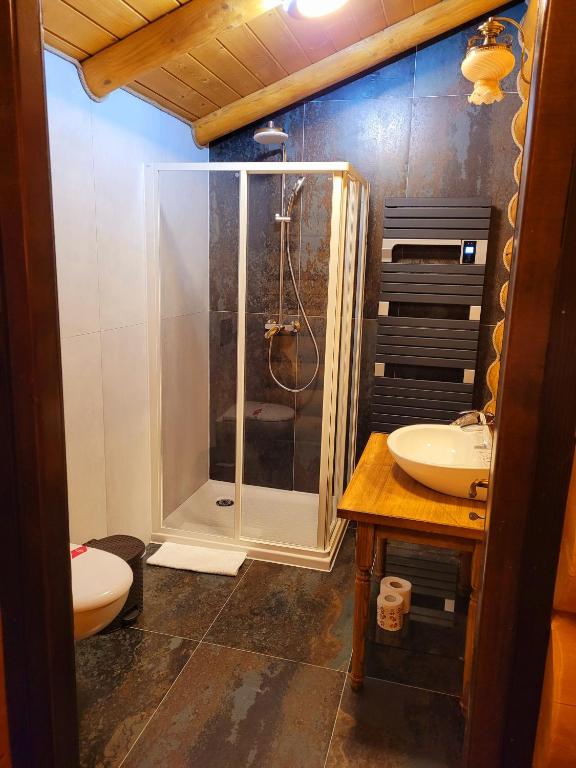 Pensiunea Eco-Tim, Moisei, Maramures — foto 12