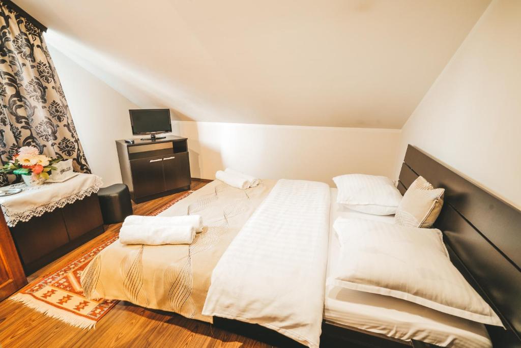 Pensiunea Eco-Tim, Moisei, Maramures — foto 43