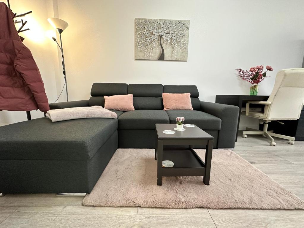 Angela Nordic Apartment, Suceava — foto 8