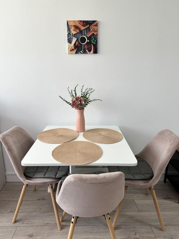 Angela Nordic Apartment, Suceava — foto 7