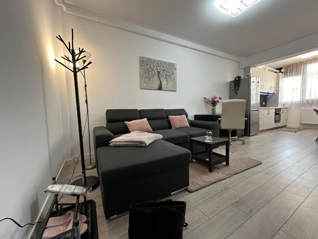 Angela Nordic Apartment, Suceava — foto 16