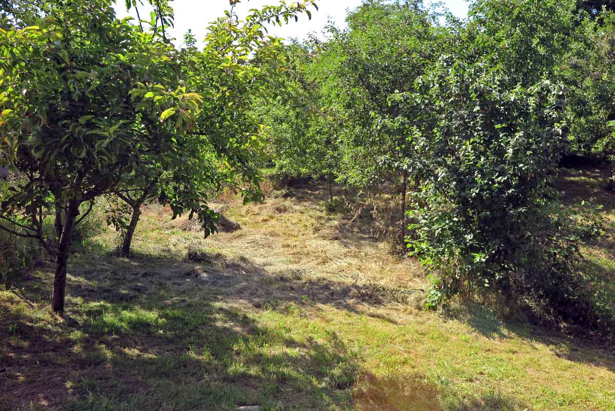 Casa Lopo, Marginimea Sibiului — foto 27