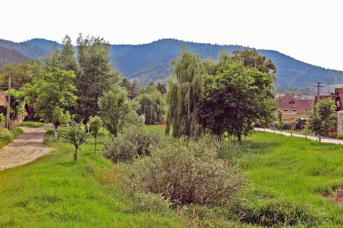 Casa Lopo, Marginimea Sibiului — foto 37