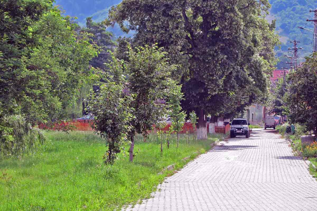 Casa Lopo, Marginimea Sibiului — foto 38