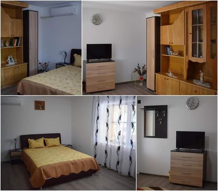 Casa Maioru, Partizani, Tulcea — foto 7