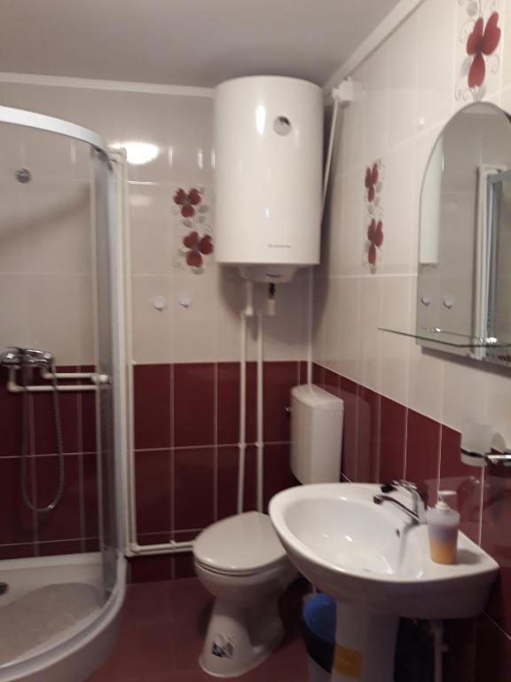 Casa Maioru, Partizani, Tulcea — foto 12