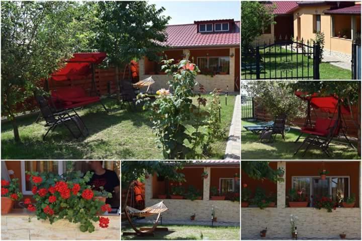 Casa Maioru, Partizani, Tulcea — foto 1