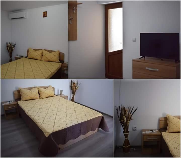 Casa Maioru, Partizani, Tulcea — foto 15