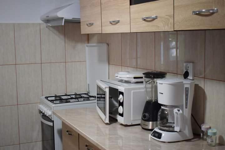 Casa Maioru, Partizani, Tulcea — foto 16
