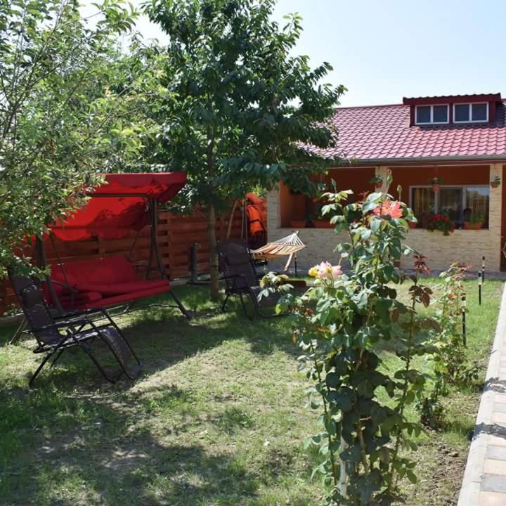 Casa Maioru, Partizani, Tulcea — foto 17