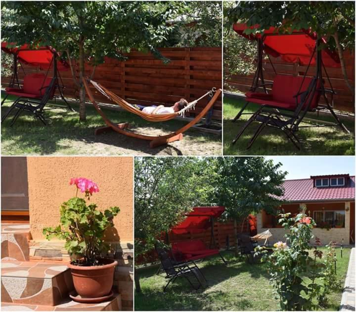 Casa Maioru, Partizani, Tulcea — foto 20