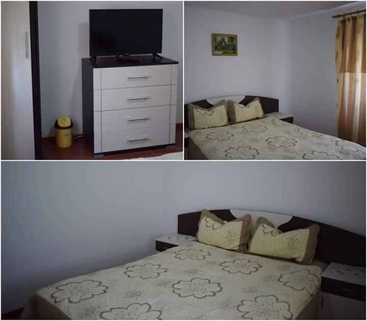 Casa Maioru, Partizani, Tulcea — foto 21