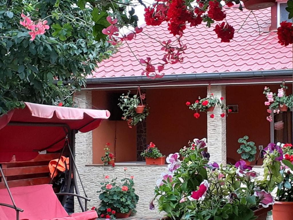 Casa Maioru, Partizani, Tulcea — foto 2