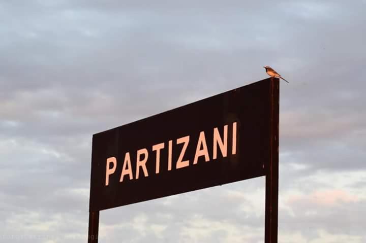 Casa Maioru, Partizani, Tulcea — foto 63