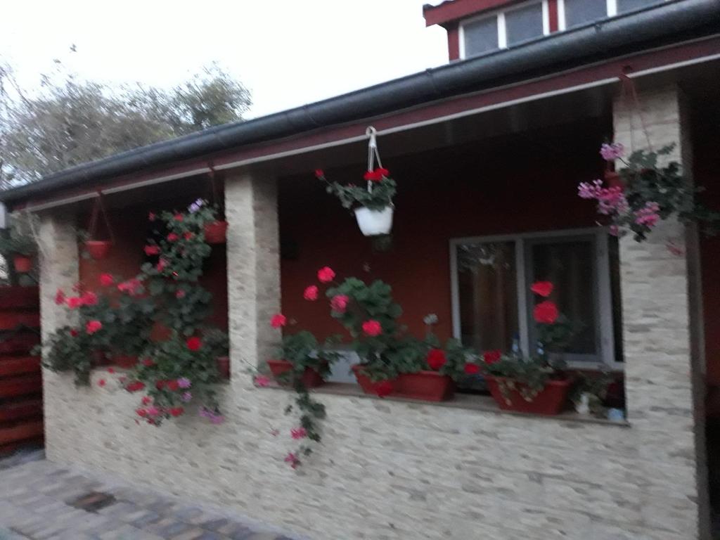 Casa Maioru, Partizani, Tulcea — foto 3