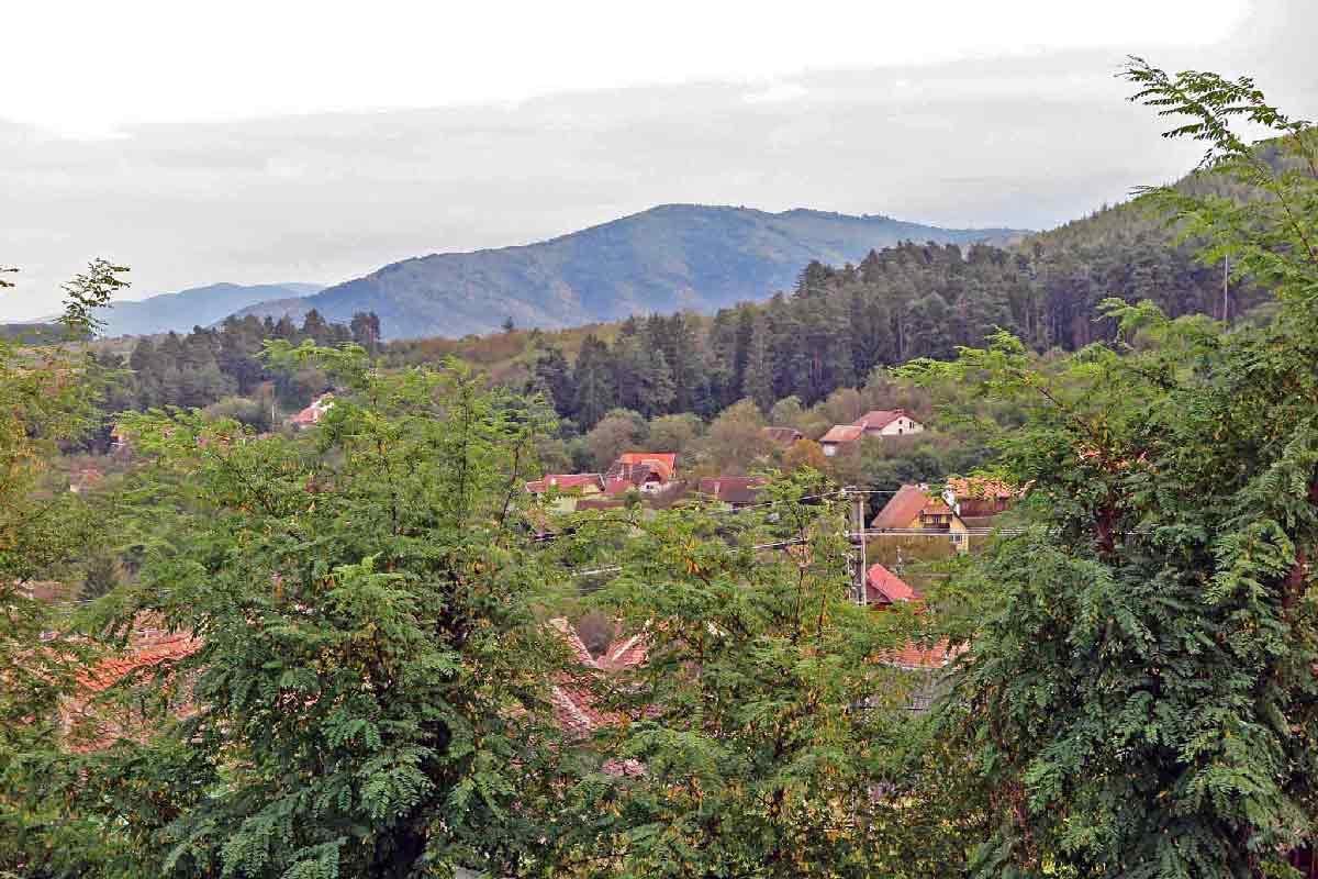 Casa Zollo 2, Marginimea Sibiului — foto 27