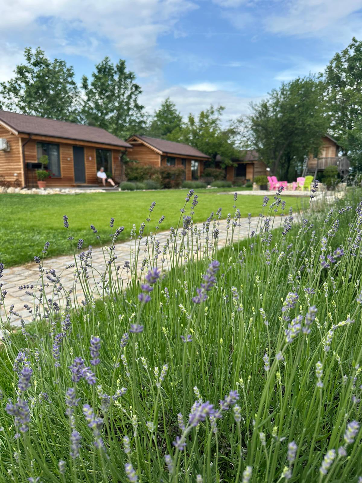 Casute Camping Casa Gorjeana, Pestisani, Gorj — foto 19