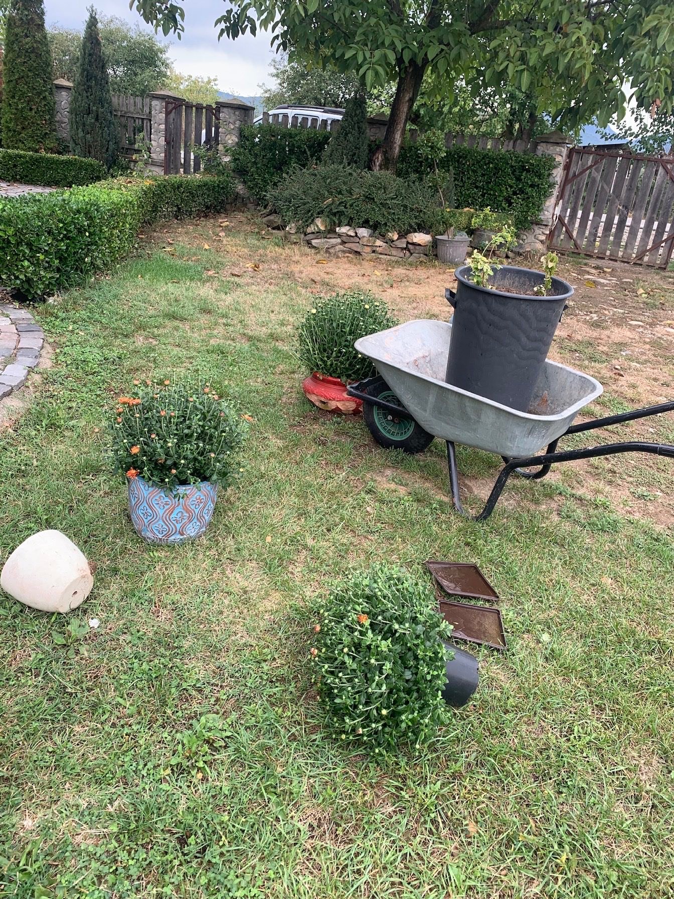 Casute Camping Casa Gorjeana, Pestisani, Gorj — foto 10