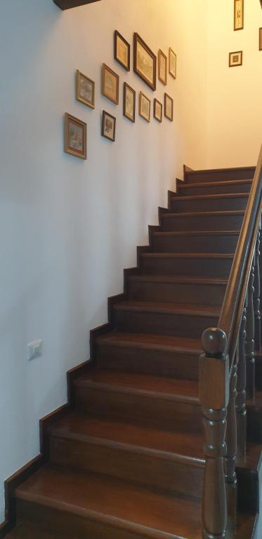 Pensiunea Casa Mucenic, Pestisani, Gorj — foto 21