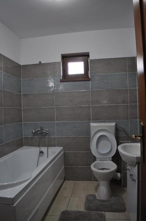 Pensiunea Casa Mucenic, Pestisani, Gorj — foto 24