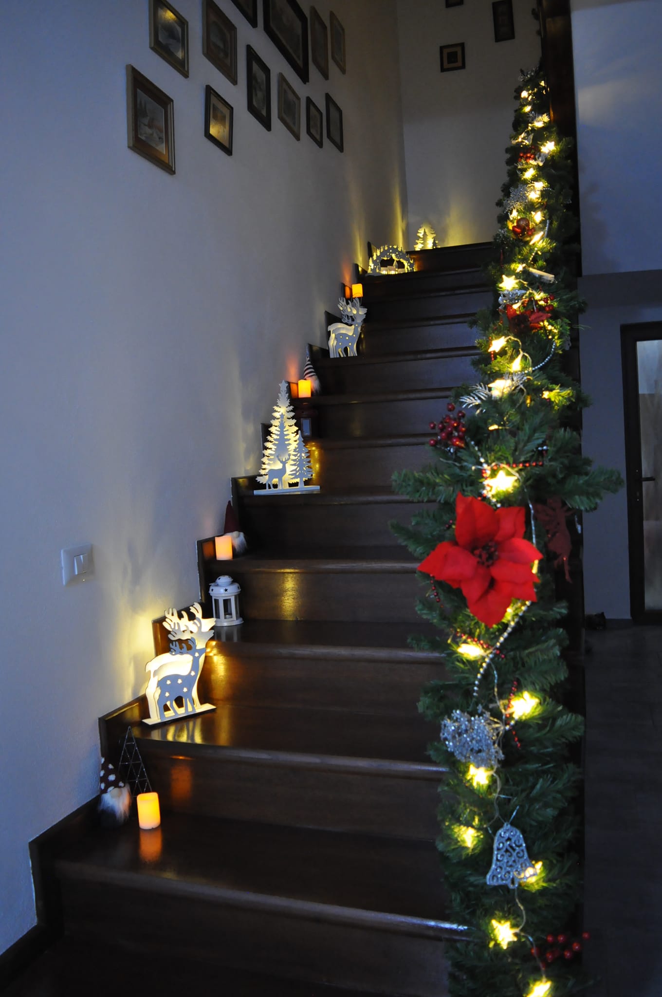 Pensiunea Casa Mucenic, Pestisani, Gorj — foto 2