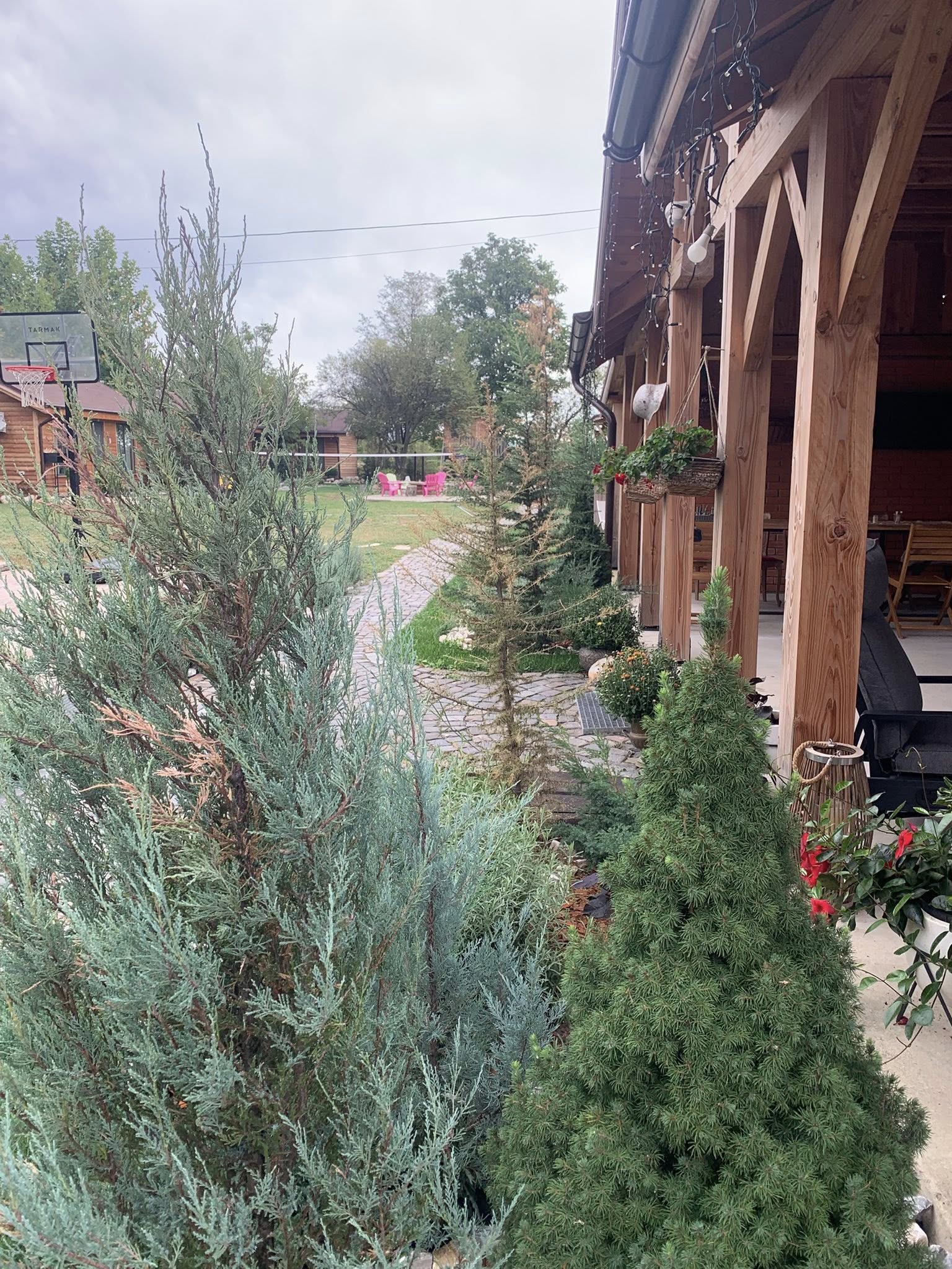 Pensiunea Casa Gorjeana, Pestisani — foto 10