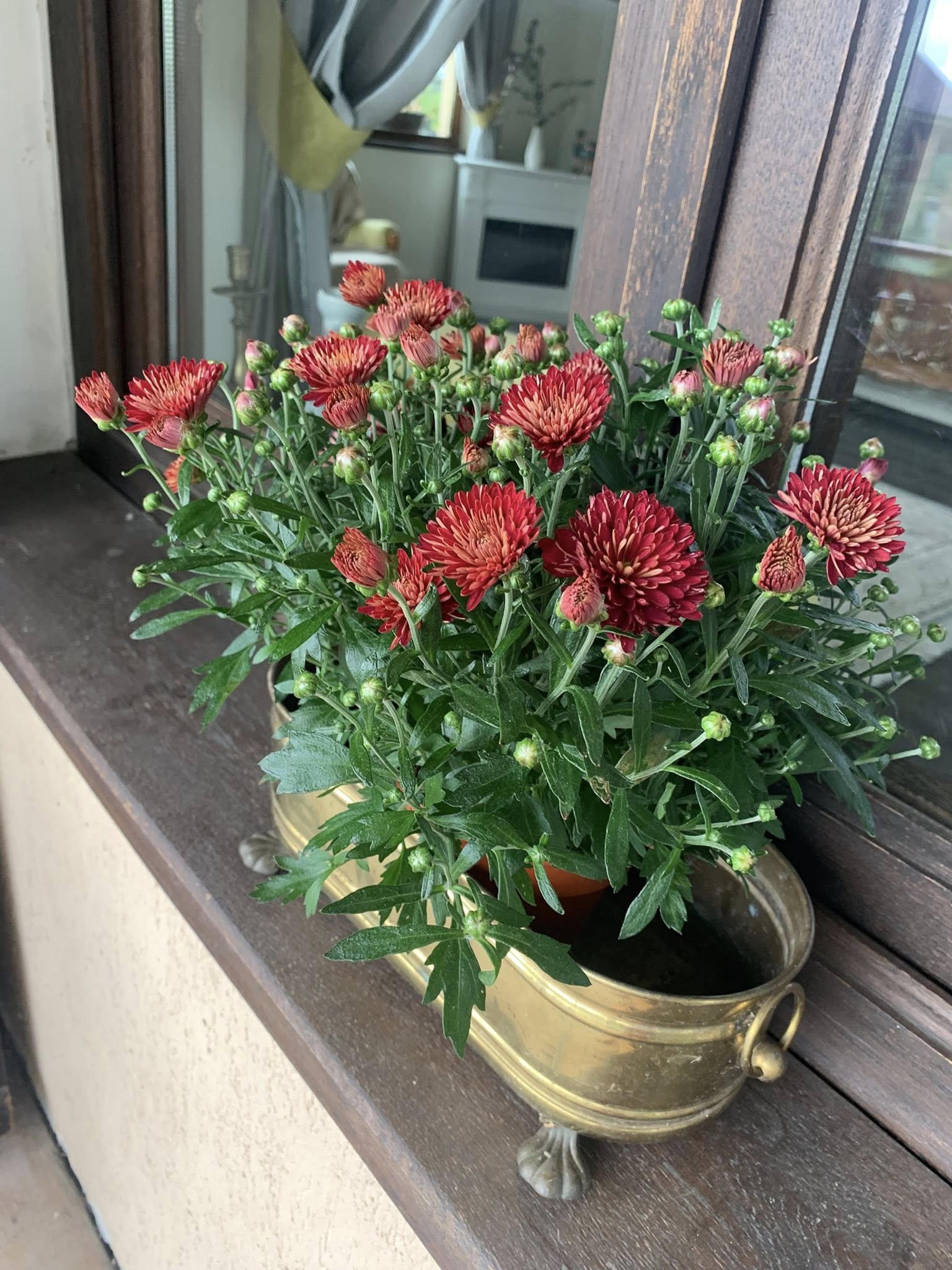 Pensiunea Casa Gorjeana, Pestisani — foto 11
