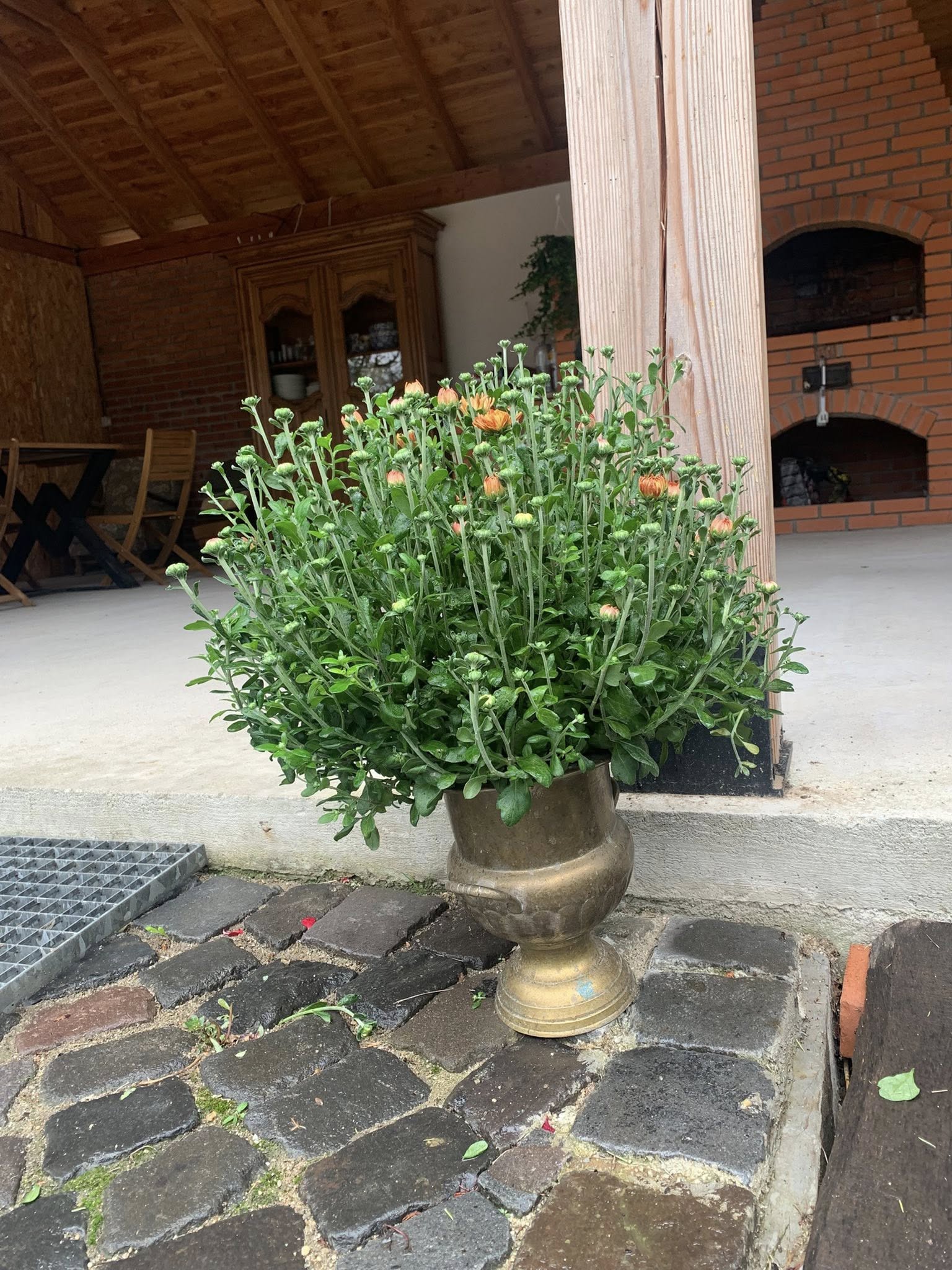 Pensiunea Casa Gorjeana, Pestisani — foto 3