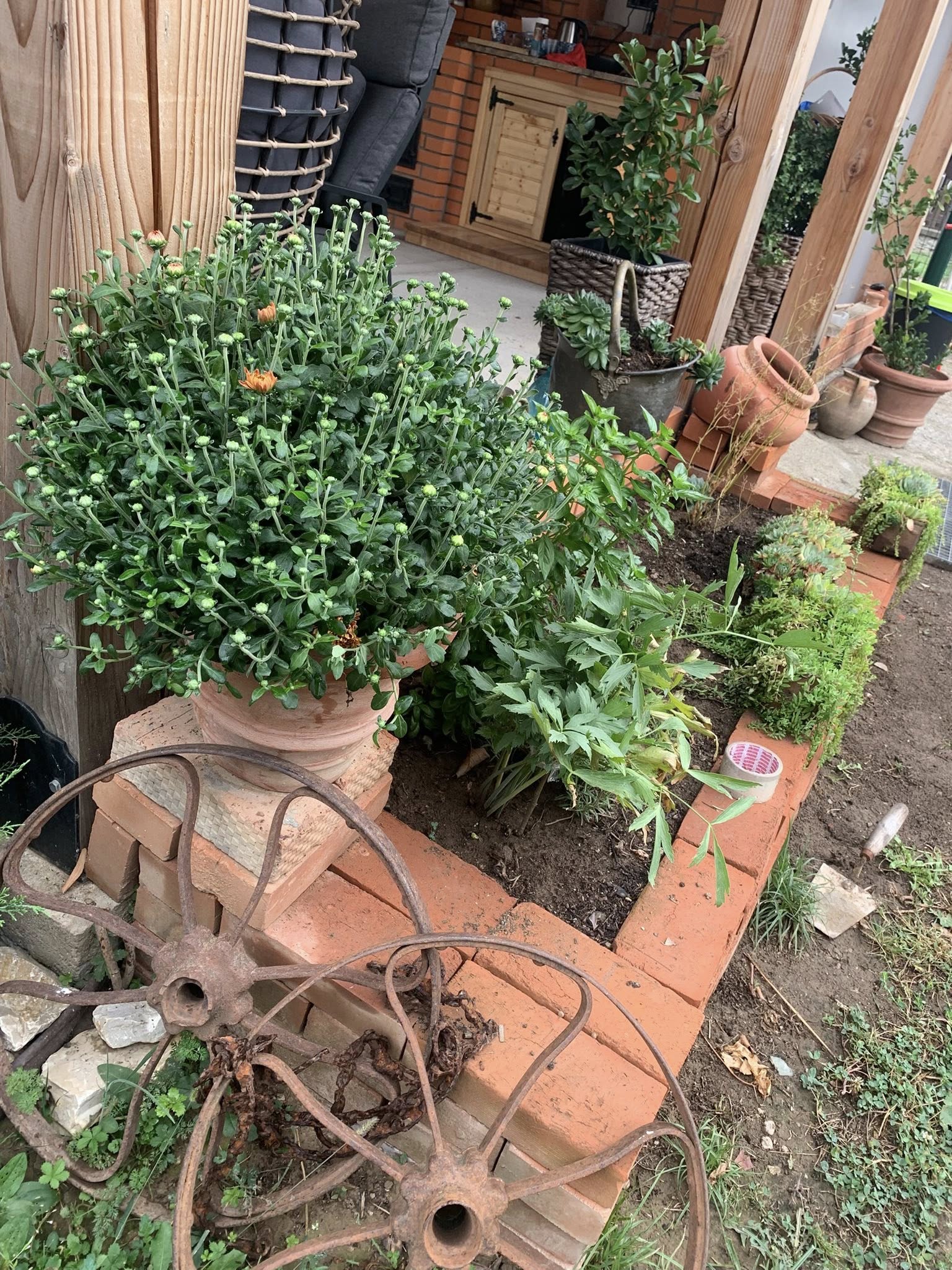 Pensiunea Casa Gorjeana, Pestisani — foto 4
