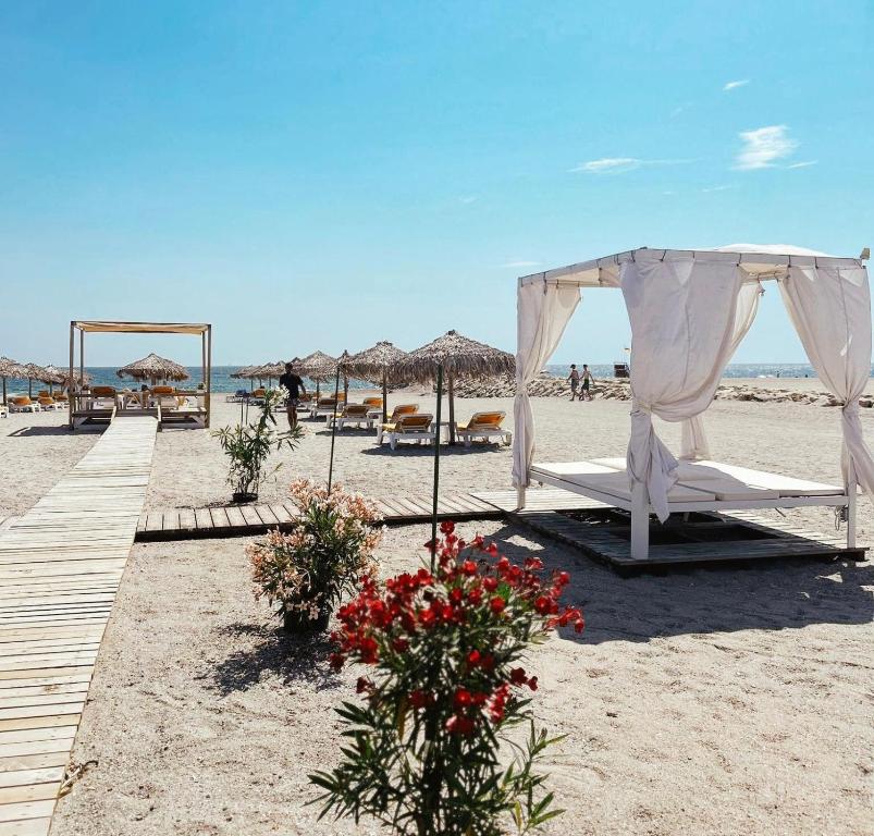 Citadel Boutique Eforie Sud — foto 56