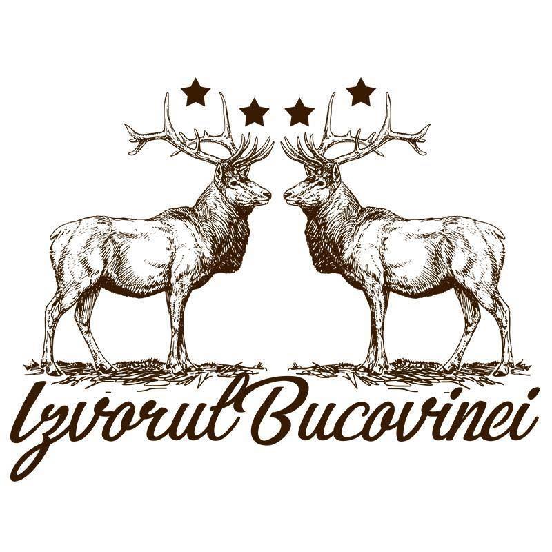 Complex Turistic Izvorul Bucovinei, Saru Dornei, Suceava — foto 1