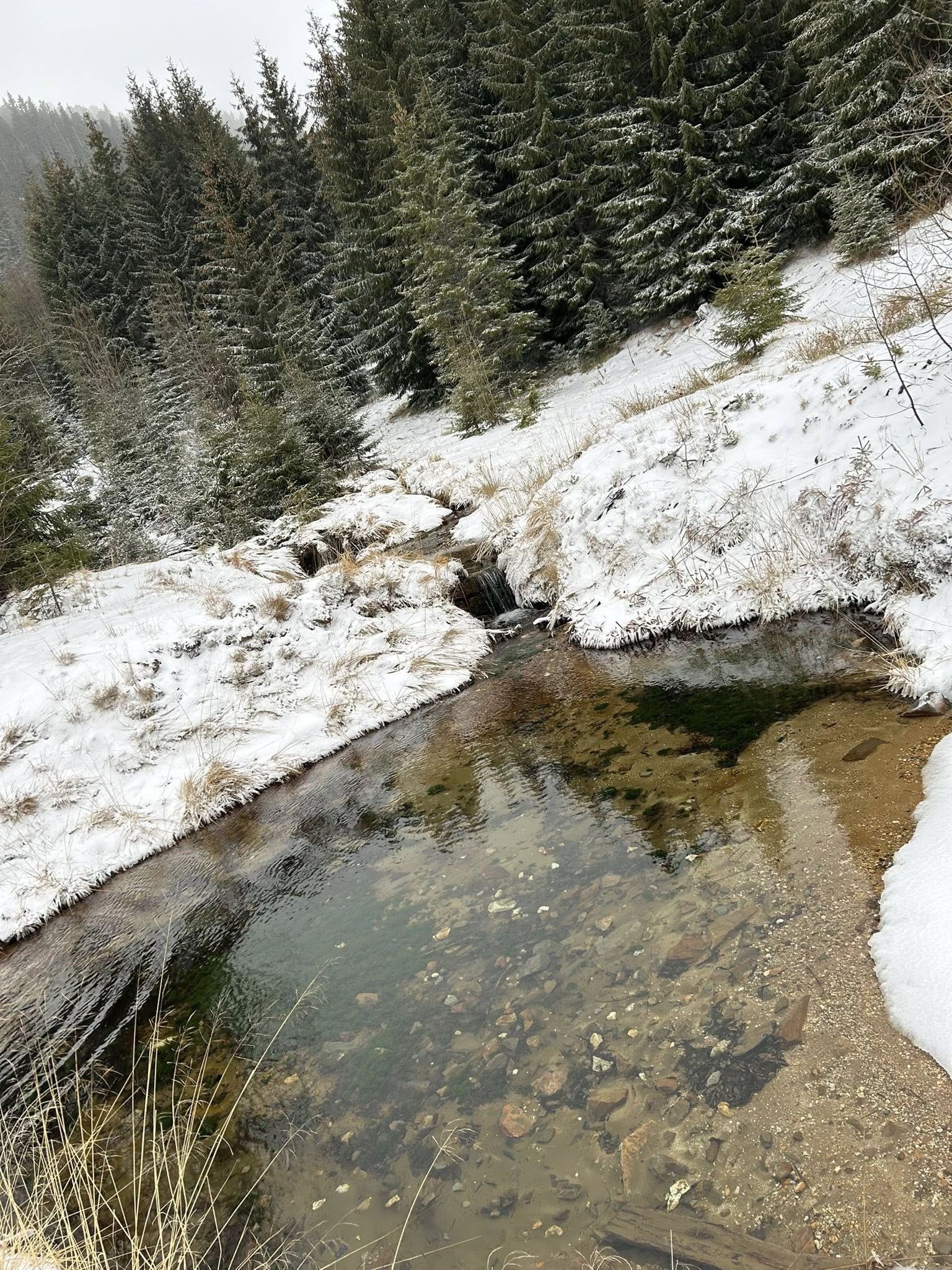 Complex Turistic Izvorul Bucovinei, Saru Dornei, Suceava — foto 23