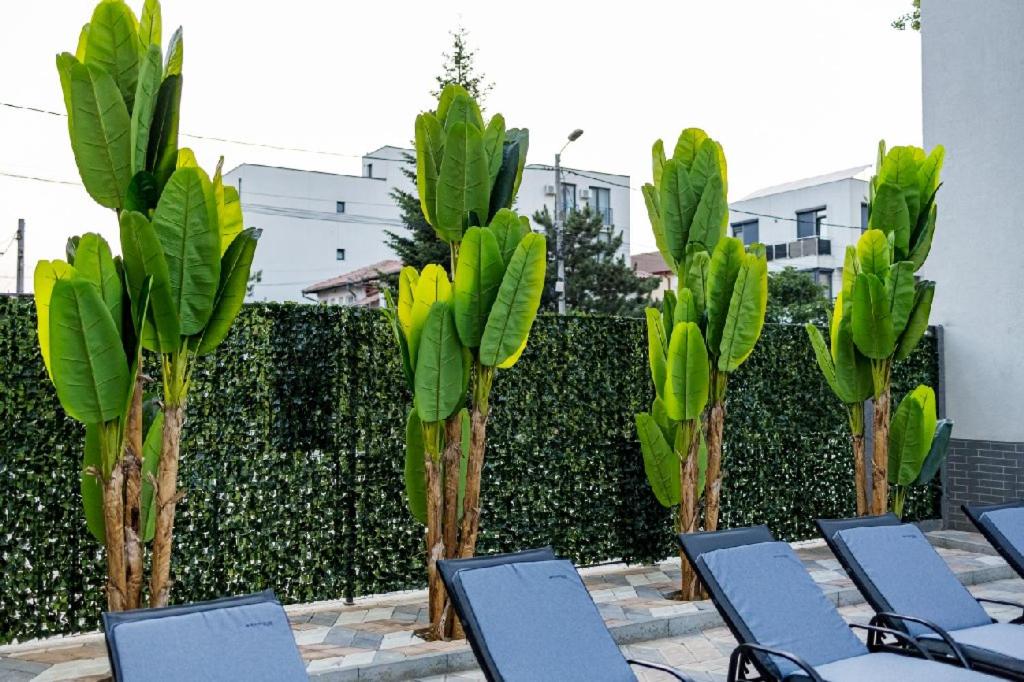 Hotel Eros, Eforie Nord — foto 70