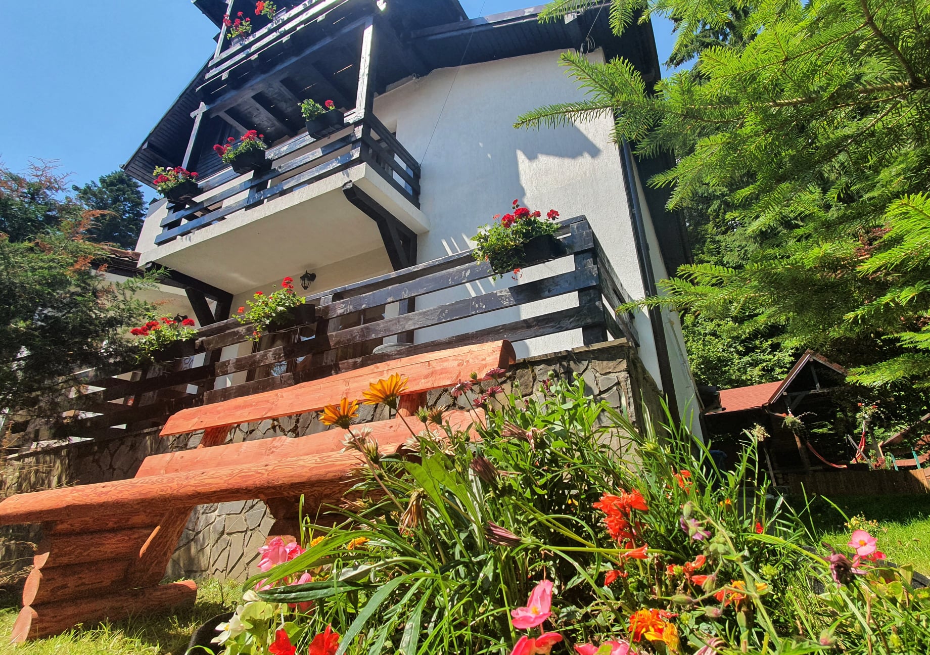 Pensiunea Bucura (fosta Codrului), Sinaia — foto 1