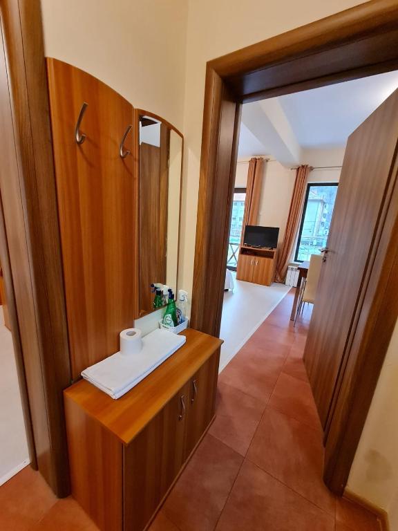 Pensiunea Camelia, Baile Herculane — foto 17