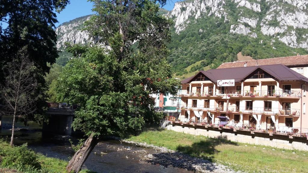 Pensiunea Camelia, Baile Herculane — foto 40