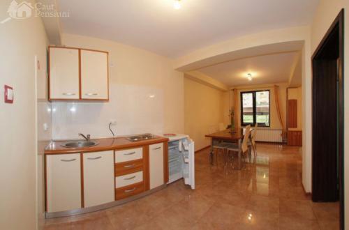 Pensiunea Camelia, Baile Herculane — foto 18