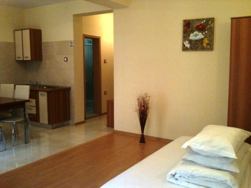 Pensiunea Camelia, Baile Herculane — foto 13