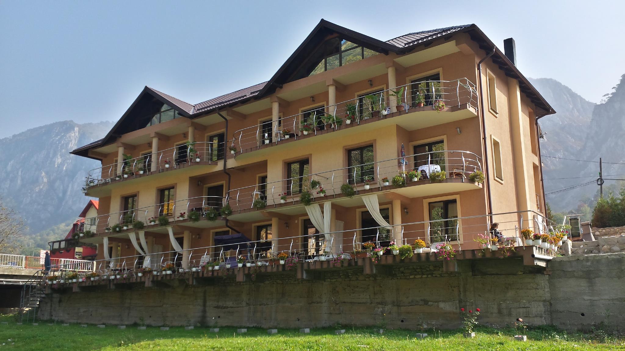 Pensiunea Camelia, Baile Herculane — foto 44